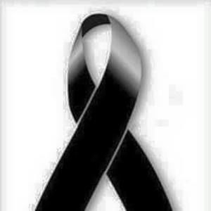 Meet your Posher, Silvia